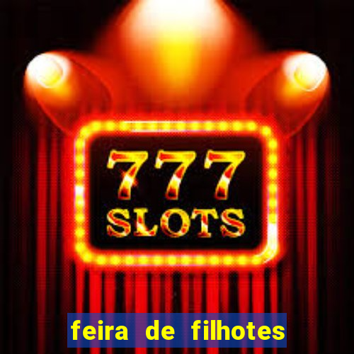 feira de filhotes porto alegre